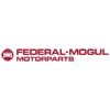 Federal Mogul